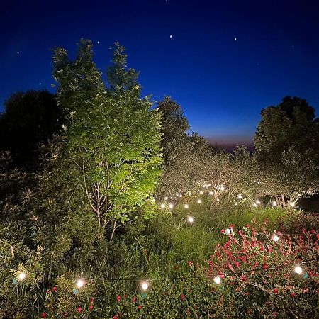 Glamping San Bart Hotell San Vincenzo Exteriör bild
