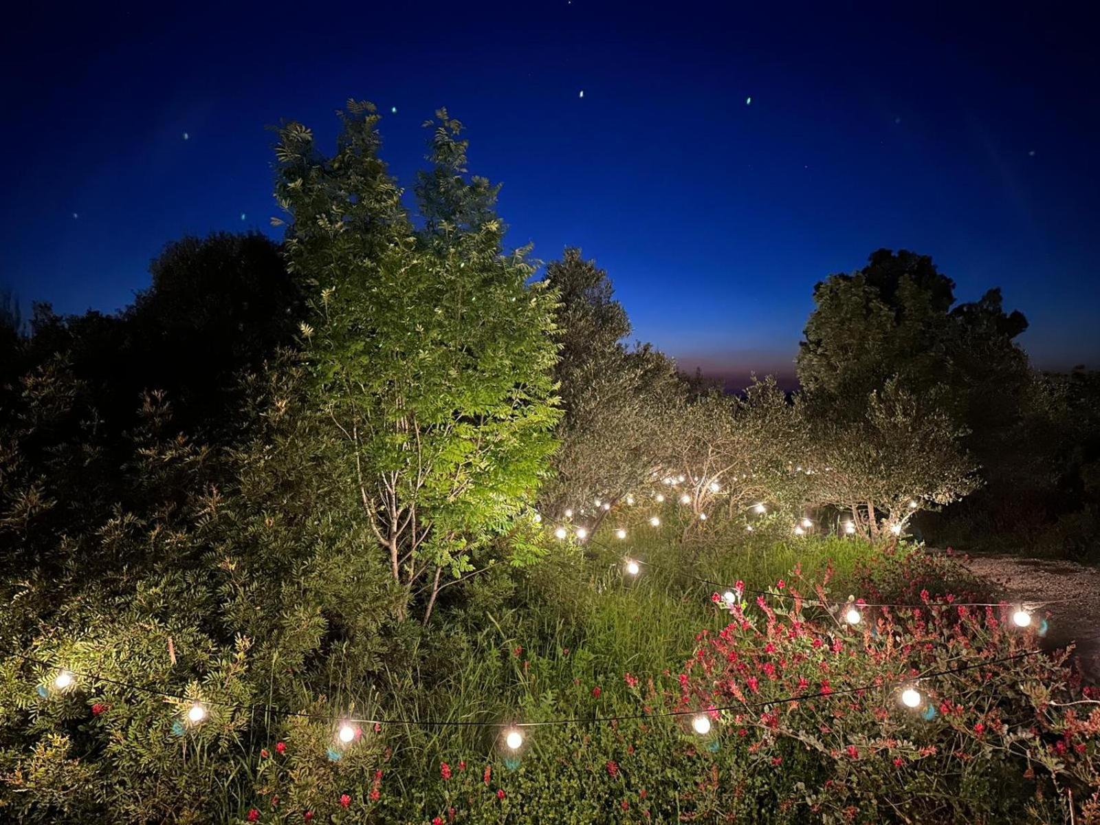Glamping San Bart Hotell San Vincenzo Exteriör bild